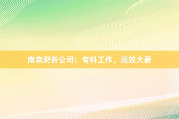 南京财务公司：专科工作，高效大要